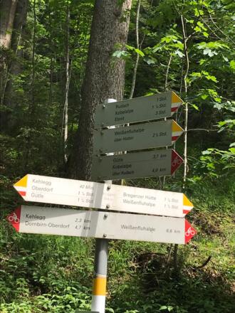 Abzweigung Kobelalpe über Rudach