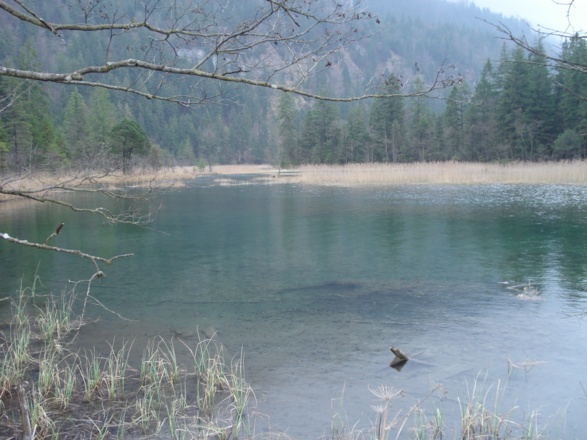 Der Quellteich der Sieben Quellen südlich von Eschenlohe.