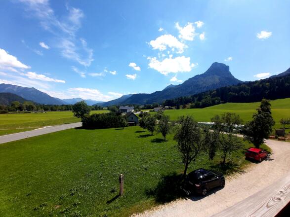 Sparberblick