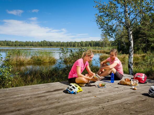 Rast im Wurzacher Ried