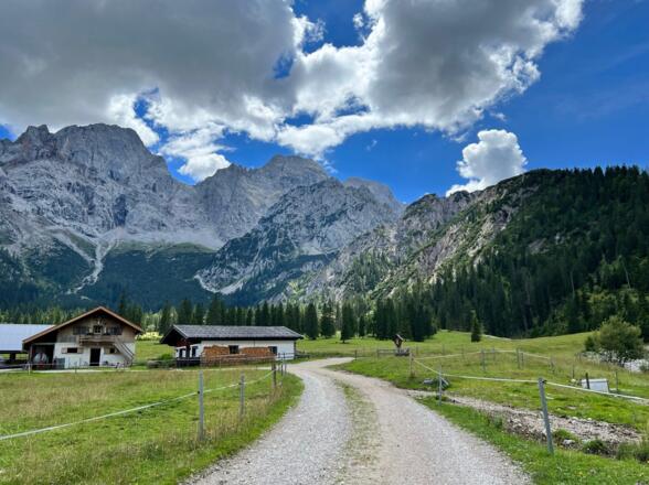 Rontalalm