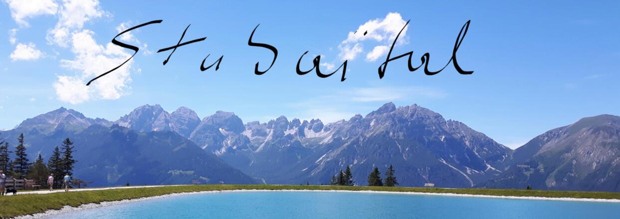 serles mieders bachstelze