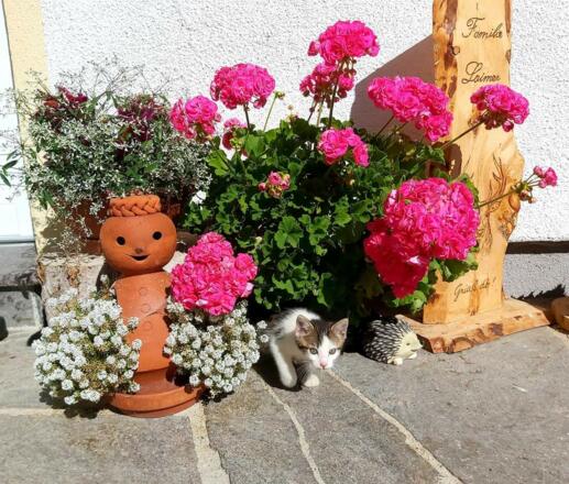 Garten