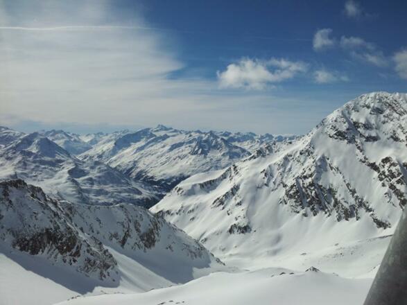 hausbachstelzeneustift0991