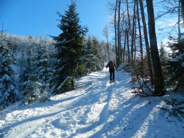 am Grat zum Hirschkogel