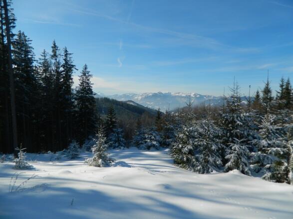 Ausblick zum Dürrensteigkamm