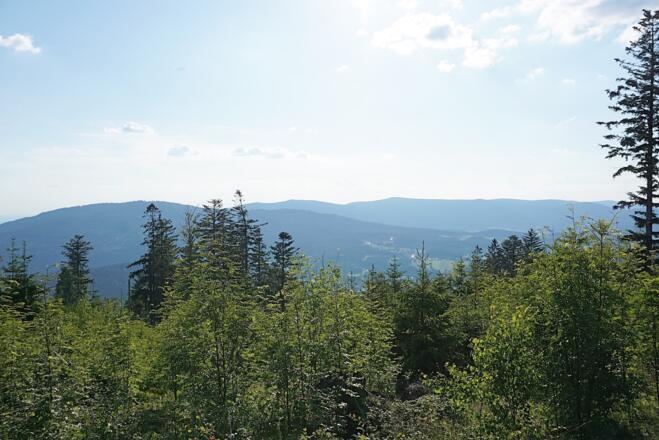 Blick zum Hirschenstein bei der Abfahrt nach Oberried