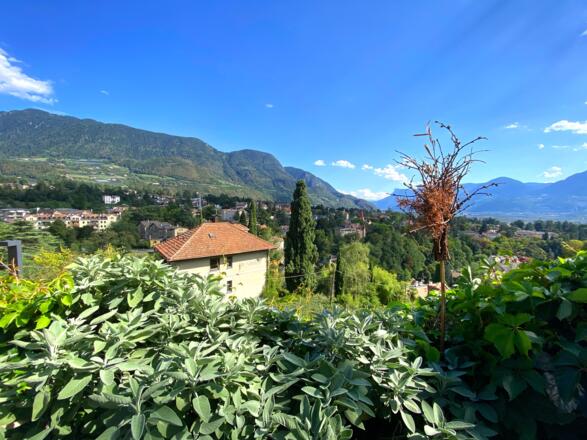Dorf Tirol - Südtirol