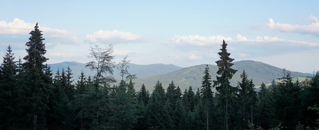 Blick zum Vogelsang + Einöd- und Breitenauriegel am Weg zum Platzl