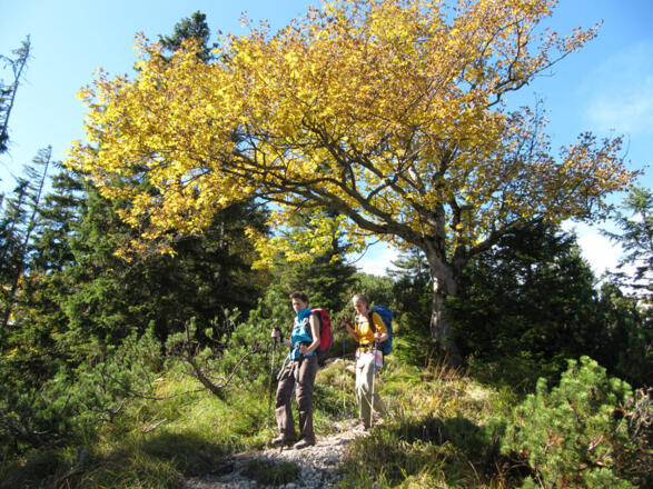 Aufstieg zur Ziegelspitz