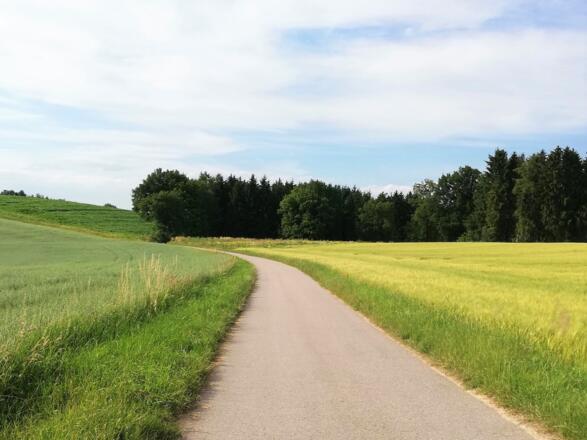 Auf den WasserRadlWege Oberbayern bei Tüntenhausen kurz vor dem Abstieg ins Ampertal