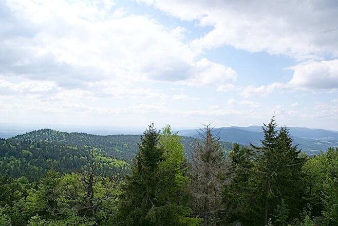 Aussicht vom Breitenauriegel zum Hirschenstein