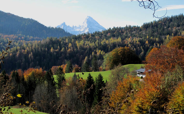 Ettenberg-Runde