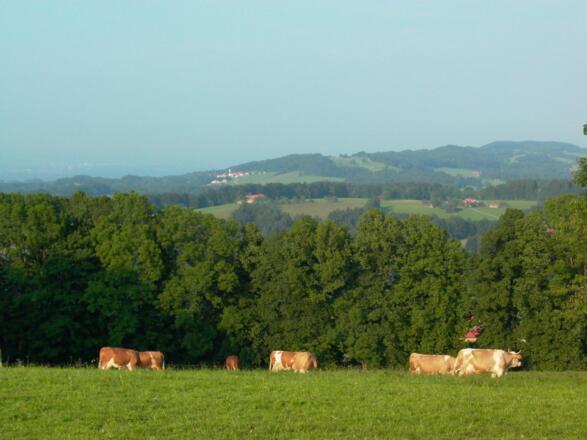 Blick vom Stadlberg