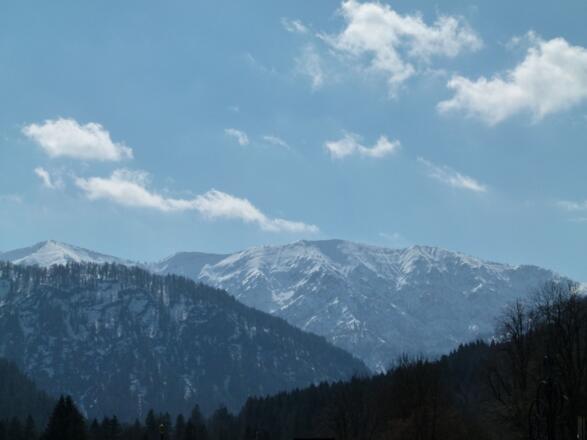 https://images.bs.ds-srv.net/objekt2_pics/obj_full_31487_001.jpg