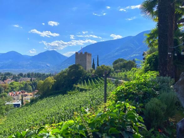 Dorf Tirol - Südtirol