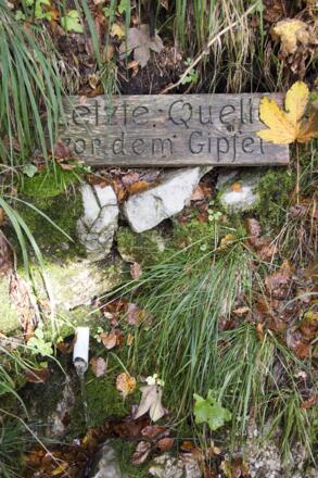 Beim Abstieg kommt man am Gießenbachwasserl an einer Quelle vorbei.