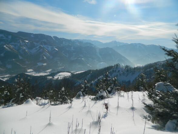 Blick von der Tannscharte ins Ybbstal