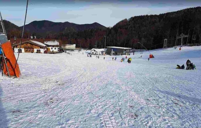 zurück in der Forstau