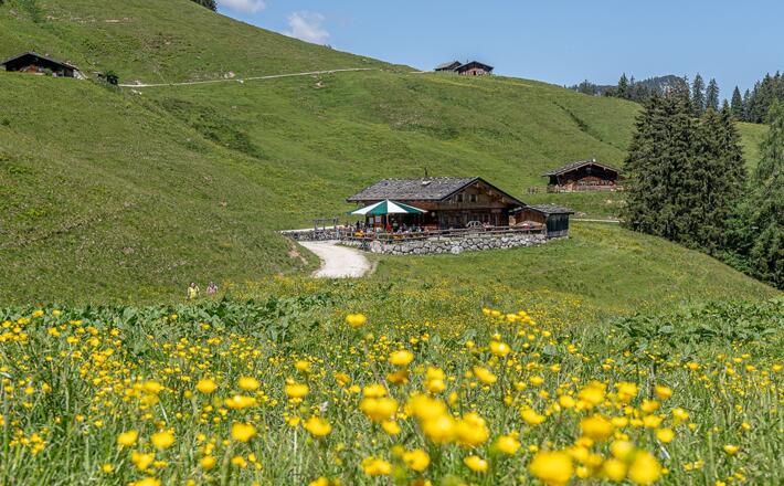Litzlalm-Kaser vor der Reiter Alm