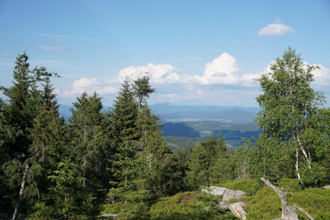 Aussicht vom Einödriegel