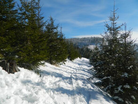 der Hirschkogel in Sicht