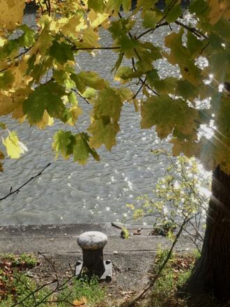 Ein Poller an der Donau in Jochenstein