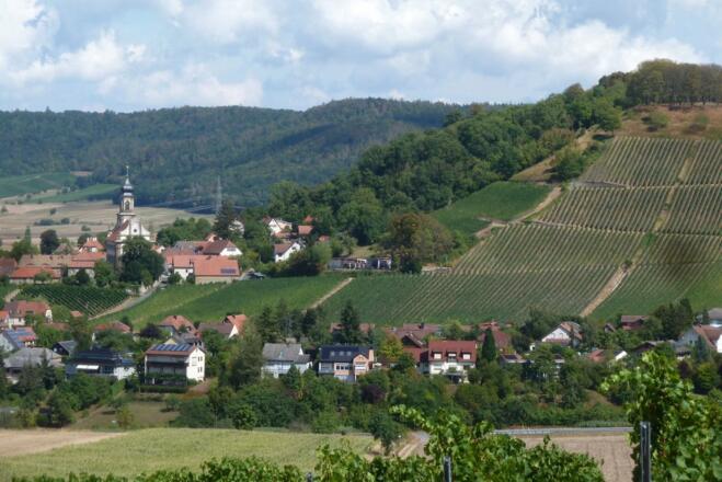 Blick nach Castell von der Kugelspiel-Weinlage