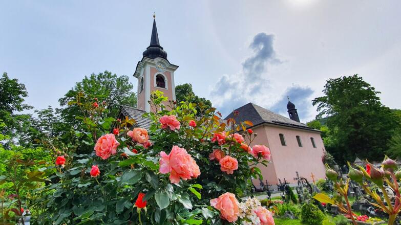 Pfingstrosen bei der Wallfahrtskirche St. Jakobus der Ältere