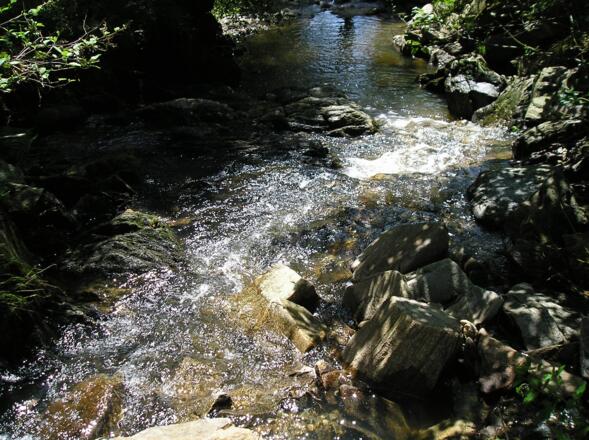 Hörreuter Bach