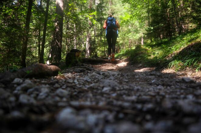 Wanderweg zur Tannenhütte