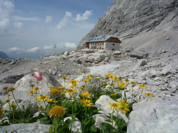 Adamekhütte, 2196 m