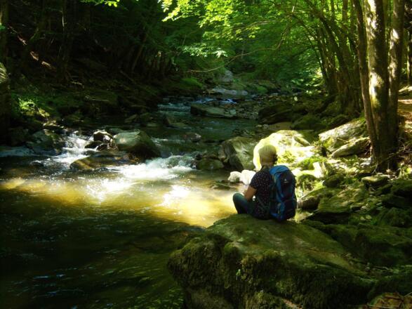 Rast an der Erlau