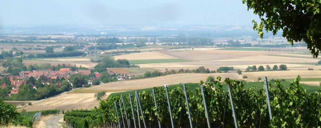 Blick nach Greuth von der Greuther Bastei