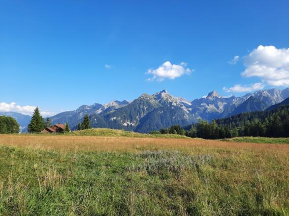 Blick Richtung Zimba am Hochplateau Tschengla