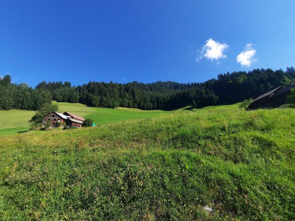 Über diesen Hang donnerte damals eine der Lawinen ins Tal