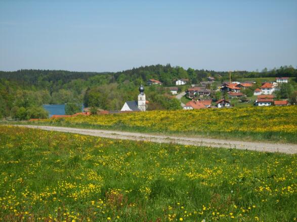 Keltenschanze