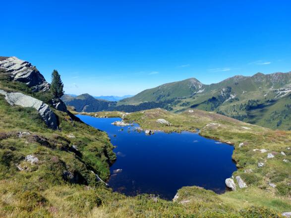 Gruber Lacke beim Torkopf in Alpbach, Inneralpbach, Luegergraben