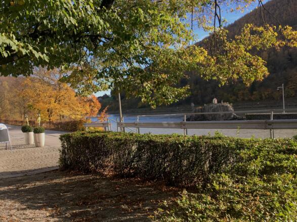 Der Biergarten des Gasthof Kornexl am Jochenstein im Herbst