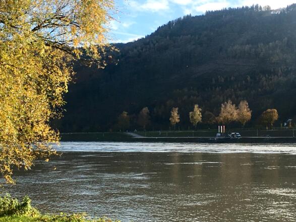 Am Donauradweg Passau Wien zwischen Jochenstein und Niederranna