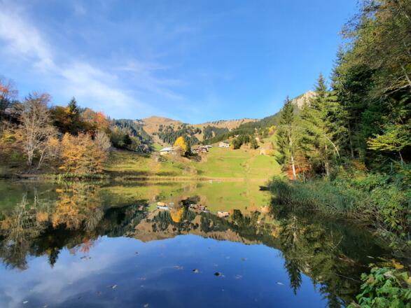 Schöne Stimmung beim herbstlichen Seewaldsee