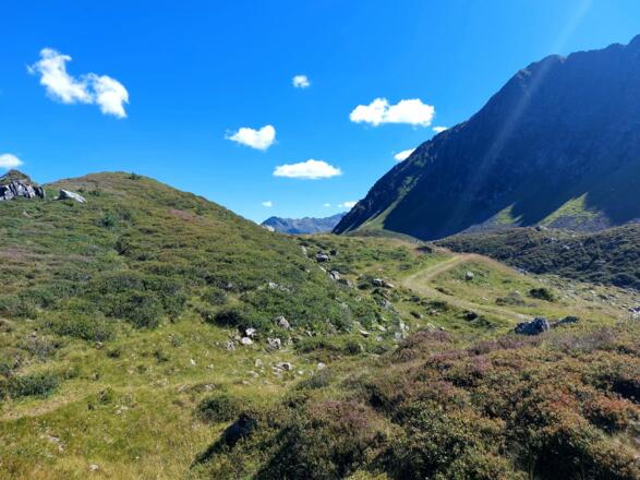 Torkopf