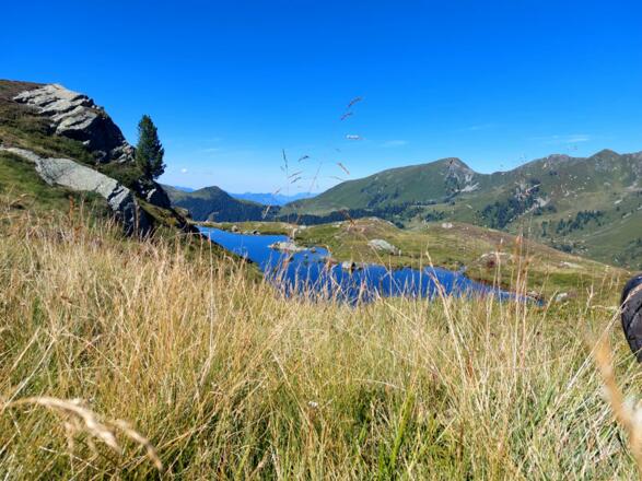 Gruber Lacke beim Torkopf in Alpbach, Inneralpbach, Luegergraben