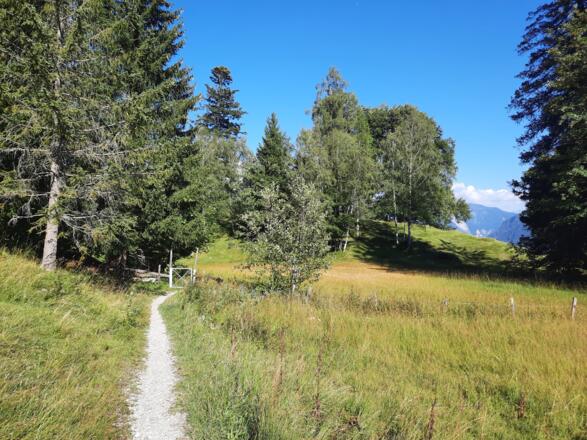 Abzweigung auf den Wanderweg kurz nach dem Start am Wanderparkplatz