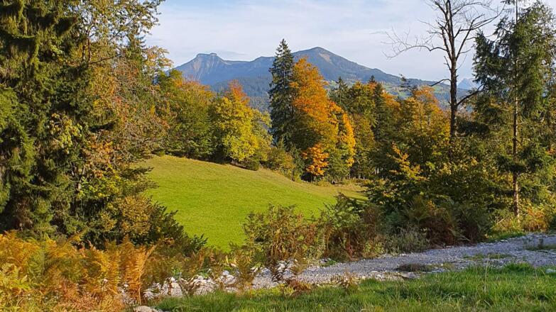 Ausblick von der Schönalm auf den Schmittenstein und Schlenken
