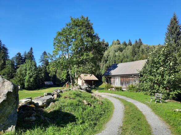 Auf diesem Weg weiter Richtung Mottakopf