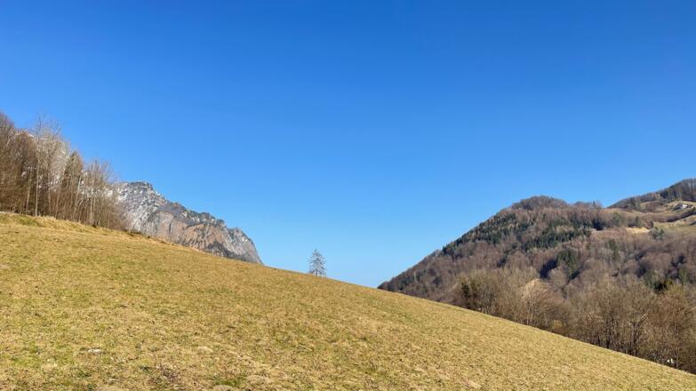 Friedensbergweg Marktschellenberg