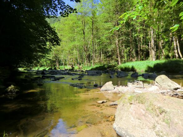 Erlautal