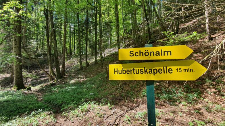 Abzweigung vom Vollererhof-Wanderweg BLAU rund um das Wildgehege zur Schönalm