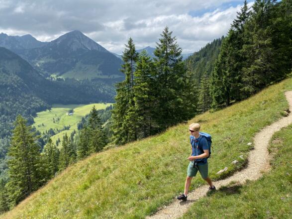 Blick vom Anstieg auf die sonnige Lichtung der Niederhofer Alm.